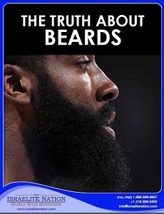 All About Beards cover